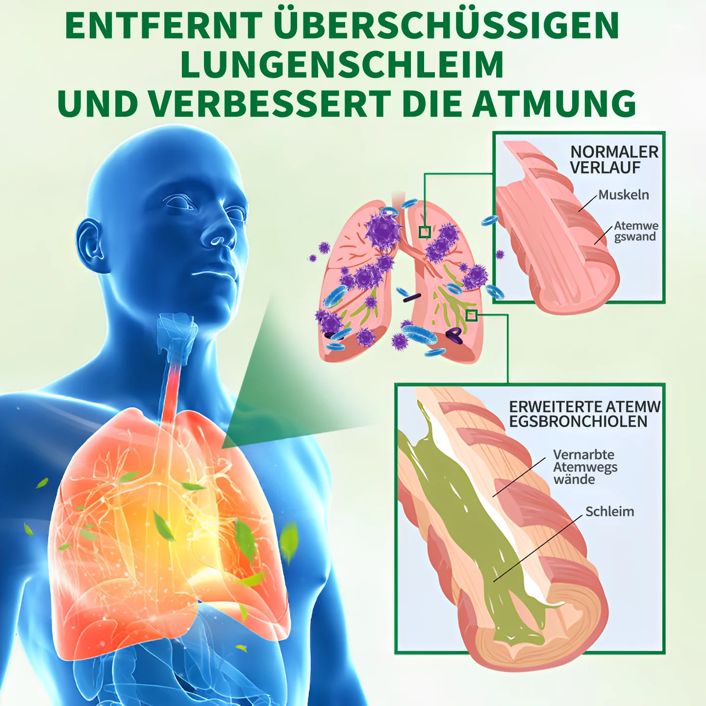 🍉👨⚕️𝐌𝐈𝐐𝐈𝐊𝐎® 𝐋𝐮𝐧𝐠𝐞𝐧𝐬𝐭ä𝐫𝐤𝐞𝐧𝐝𝐞 𝐮𝐧𝐝 -𝐩𝐟𝐥𝐞𝐠𝐞𝐧𝐝𝐞 𝐈𝐧𝐡𝐚𝐥𝐚𝐭𝐢𝐨𝐧𝐬𝐠𝐞𝐫ä𝐭𝐞(🌈𝐄𝐦𝐩𝐟𝐨𝐡𝐥𝐞𝐧 𝐯𝐨𝐧 𝐋𝐮𝐧𝐠𝐞𝐧𝐬𝐩𝐞𝐳𝐢𝐚𝐥𝐢𝐬𝐭𝐞𝐧🌈) - Image 4